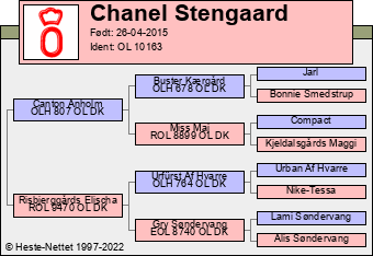 Stamtavle Stamtavle