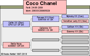 Hest til salg: Coco Chanel (208333200905029) - Super 2ér pony